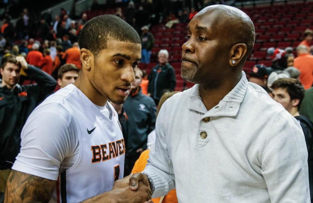 正是这种高 正是这种高