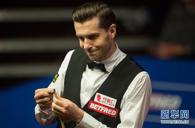 马的尊重 马的尊重