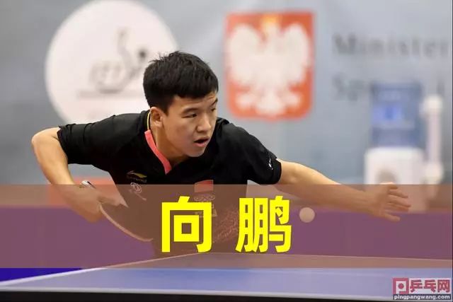 证明这一称 证明这一称